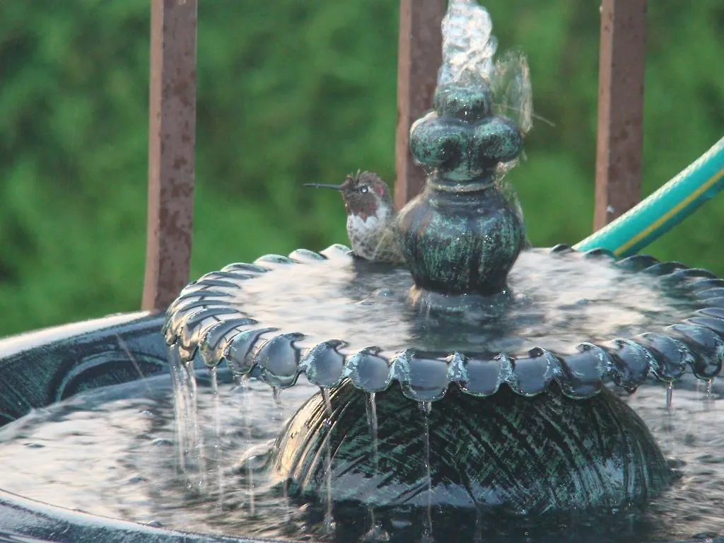 Hummers Haven Bed&Breakfast Duncan Canada